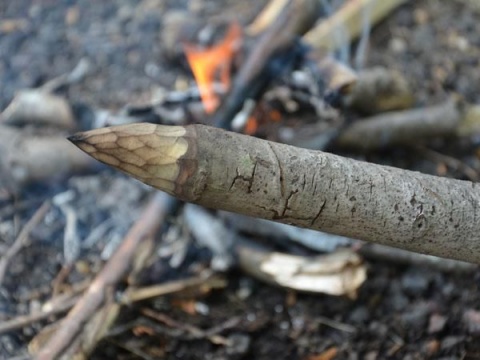 Crafting a fire hardened spear